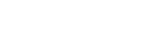 lanik mochnac_logo